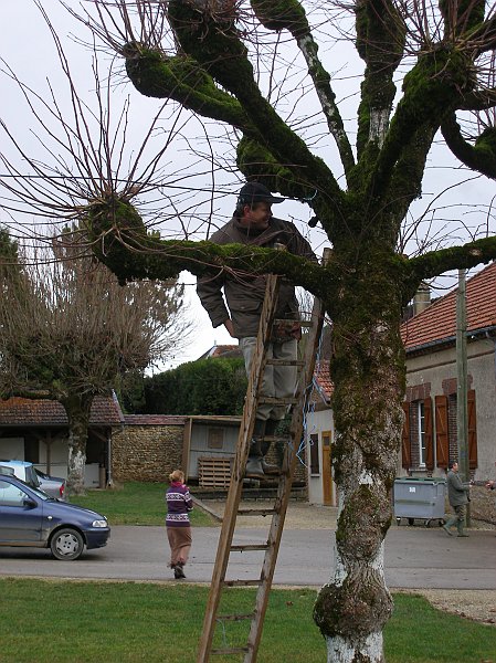 coursan 004.jpg